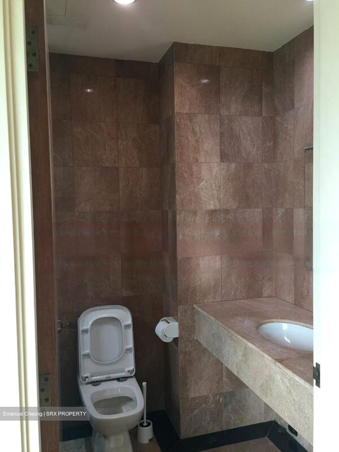 Oleanas Residence (D9), Condominium #455844501
